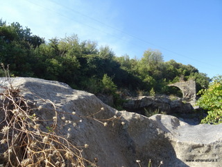 cantara gurne29-09-2019 09-55-19
